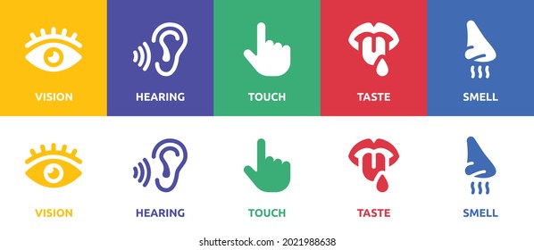 Five senses icon containing nose, eye, hand, ear, mouth with tongue symbol vector illustration