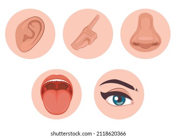 five senses icon, flat design with name, sight, hear, smell, taste, touch