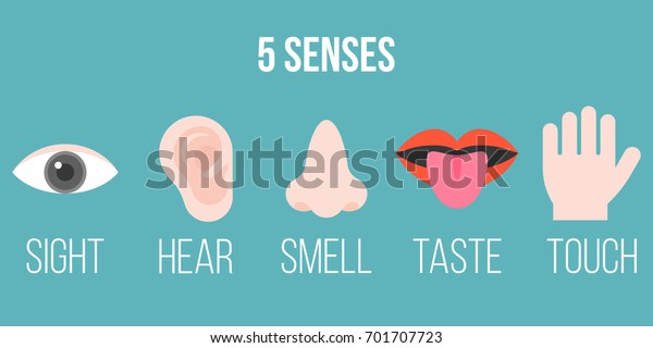 Five Senses Icon Flat Design Name Stock Vector (Royalty Free) 701707723