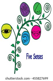 Five Senses Icon with flower and leaf