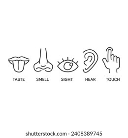 Five senses icon set hand drawn for educational illustrations. outline symbol, simple thin line vector design element template