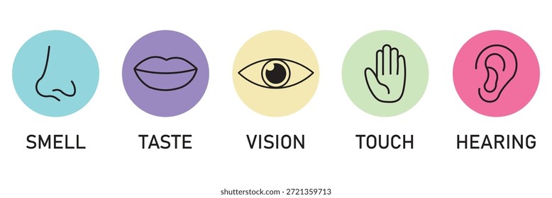 Conjunto de ícones de cinco sentidos. Órgãos do senso humano. Sabor, visão, toque, cheiro, símbolos auditivos. Sinais nos olhos, ouvidos, dedos, nariz e lábios.