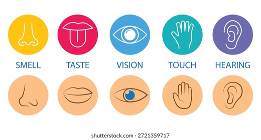 Conjunto de ícones de cinco sentidos. Órgãos do senso humano. Sabor, visão, toque, cheiro, símbolos auditivos. Sinais nos olhos, ouvidos, dedos, nariz e lábios.