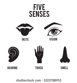 Five Senses Icon Set Isolated On Stock Illustration 1024403950 ...