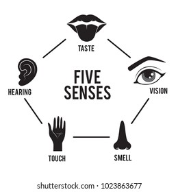Five senses icon set isolated on white background. Vector art.
