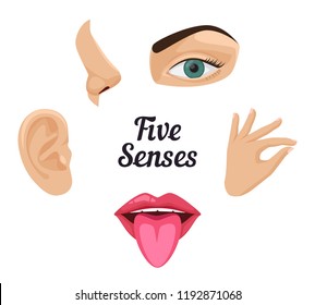 Five senses icon set: sight, hear, smell, taste, touch. Beautiful flat vector illustration: ear, mouth with tongue, nose, ear, eye, hand with fingers, lips. Human sense organs. Feels and sensations.