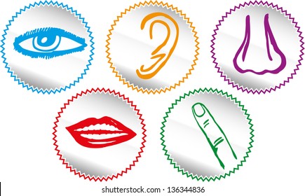 Five senses icon set - Vector Illustration