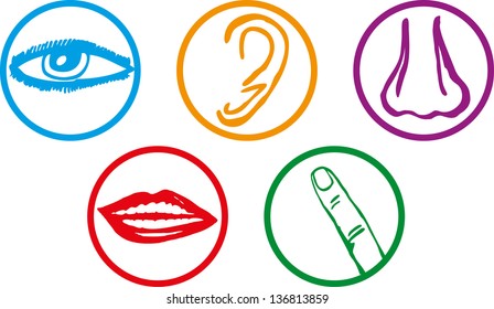 Five senses icon set - Vector Illustration
