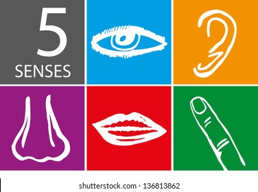 Five senses icon set - Vector Illustration