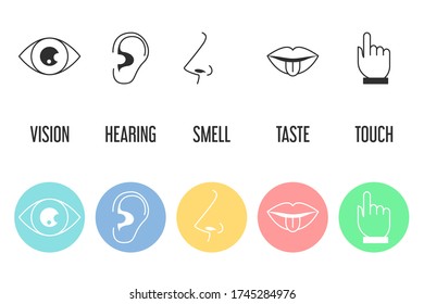 Five Senses Icon Set Vector Isolated Stock Vector (Royalty Free ...