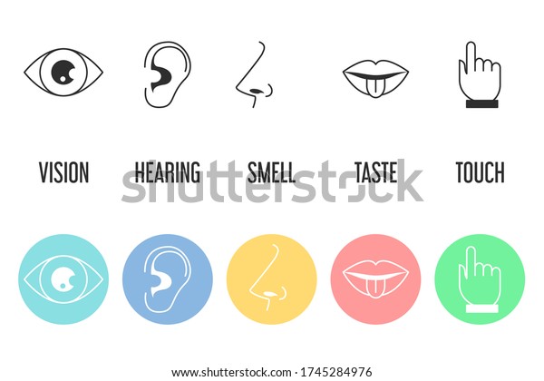 Five Senses Icon Set Vector Isolated Stock Vector (Royalty Free ...