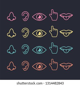 five senses icon. Sight, smell, hearing, touch, taste icons vector