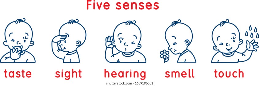 Five senses icon. Touch, taste hearing sight smell