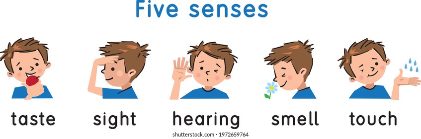 Five senses icon. Touch, taste hearing sight smell