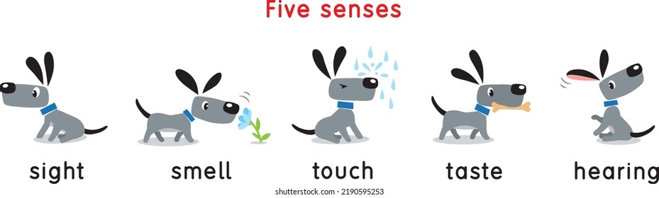 Five senses icon. Touch, taste hearing sight smell