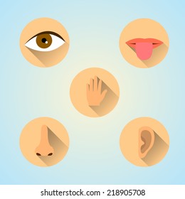 Five Senses Icon.Flat style design