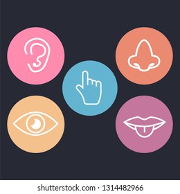 Five senses icons. 5 senses symbols