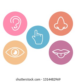 Five senses icons. 5 senses symbols