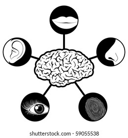 Five senses icons controlled controlled by brain - vector