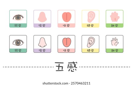 Five senses illustration icon translation: Sight, smell, taste, hearing, touch
