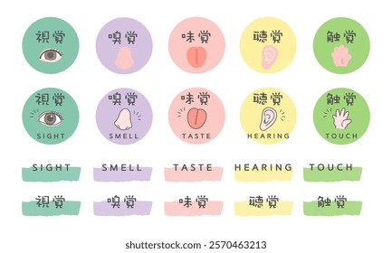 Five senses illustration icon translation: Sight, smell, taste, hearing, touch