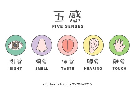 Five senses illustration icon translation: Sight, smell, taste, hearing, touch