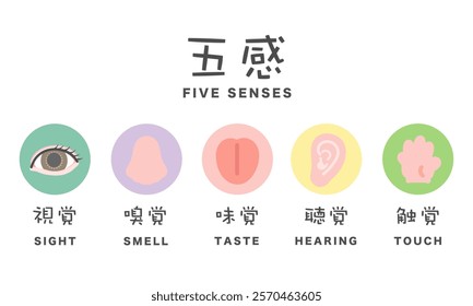 Five senses illustration icon translation: Sight, smell, taste, hearing, touch