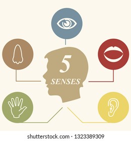 Five Senses Illustrations Hand Touch Eye Stock Vector (Royalty Free ...