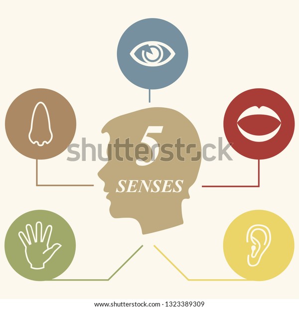 Five Senses Illustrations Hand Touch Eye Stock Vector (Royalty Free ...