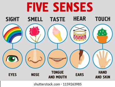 Five senses illustrations. Sight, hear, smell, taste, touch.