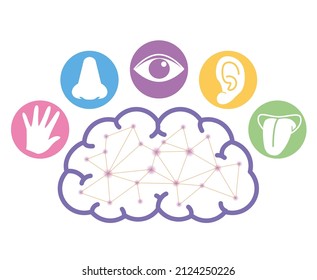 Five Senses Image and Brain - Infographics Made of Vector