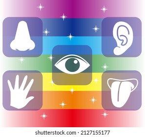 Five senses image with chakra color background 