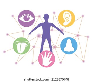 Five Senses Image and human - Infographics Made of Vector