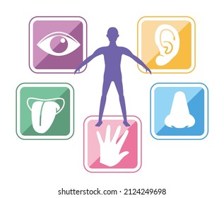 Five Senses Image And Human   Infographics Made   Royalty Free Stock