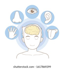 Five senses image for medical and educational