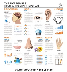 The Five Senses Infographic Chart Diagram Vector Design Template