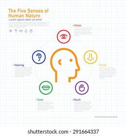 Five senses information concept on human colorful vector line icons and symbols set in grid layout template design