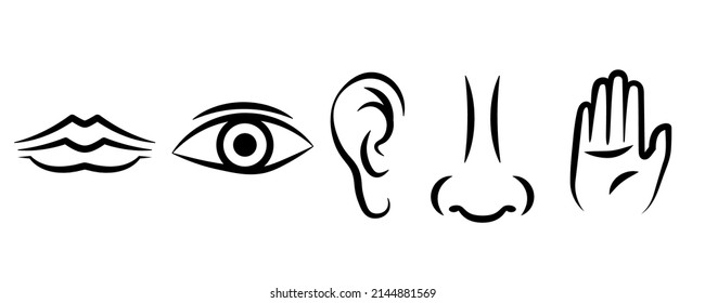 Five Senses Line Icon. Clipart Image Isolated On White Background.