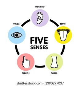 Five senses line icons. Human ear and eye symbols, nose and mouth outline vector signs