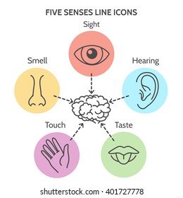 Five Senses Line Icons. Human Ear And Eye Symbols, Nose And Mouth Outline Vector Signs