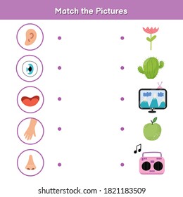 Five senses matching game for kids. Sight, touch, hearing, smell and taste. Match the pictures activity page. Learning body parts material for preschool. Workbook for children. Vector illustration