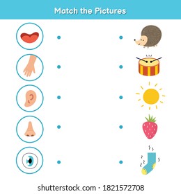 Five senses matching game for kids. Sight, touch, hearing, smell and taste. Match the pictures activity page. Learning body parts material for preschool. Workbook for children. Vector illustration