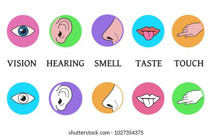 Five senses methods perception, taste vision touch smell hearing vector icons in color circles black and white outline and colored illustration of mouth tongue, ear, eye, hand finger, nose, text sign
