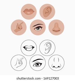  five senses, nose lips eye ear and hand  five senses, nose lips eye ear and hand 