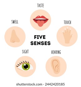 Five senses organs, vector illustration. Sight hearing taste touch smell.