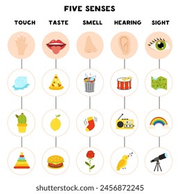 Five senses organs, vector illustration. Sight , hearing, taste, touch, smell.