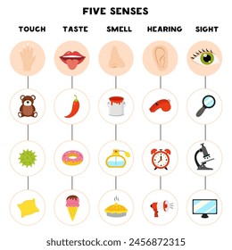 Five senses organs, vector illustration. Sight , hearing, taste, touch, smell.