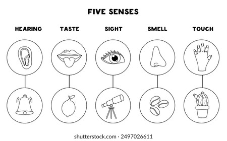 Five senses organs, vector illustration, black and white edition. Sight hearing taste touch smell.