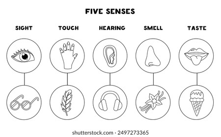 Five senses organs, vector illustration, black and white edition. Sight hearing taste touch smell.