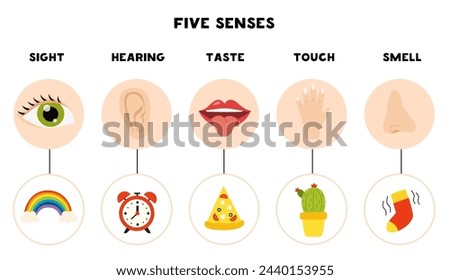 Five senses organs, vector illustration. Sight hearing taste touch smell. Vector poster.